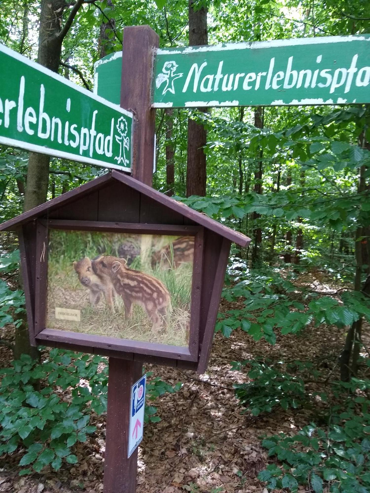Zwei Seen Ferienhaus Canow Kültér fotó